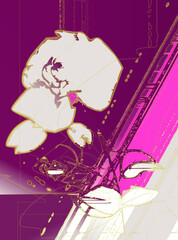 drawing of rose by graphical software