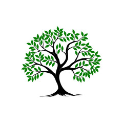 tree and roots vector illustrations, mangrove tree