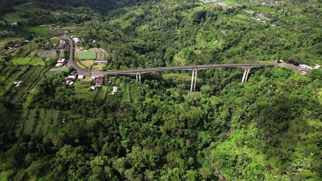 Beautiful aerial panorama of Tukad Bangkung bridge span across green gorge, orbiting camera motion. Concrete construction at height, highest bridge surround with tropical greenery and some fields