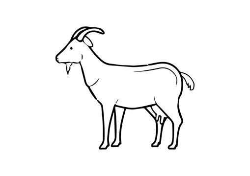 vector goat, ram animal logo illustration design