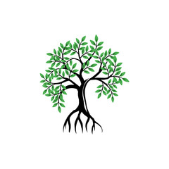tree and roots vector illustrations, mangrove tree