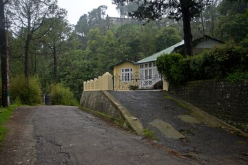 area of Kasauli hill station , Himachal Pradesh