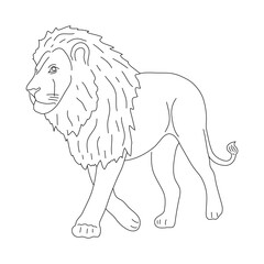 Obraz premium Lion in line art drawing style. Vector illustration.