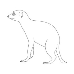Fototapeta premium Meerkat in line art drawing style. Vector illustration.