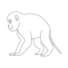 Sketch of Monkey. Hand drawn vector illustration.