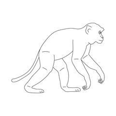 Monkey in line art drawing style. Vector illustration.