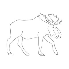 Fototapeta na wymiar Sketch of Moose. Hand drawn vector illustration.