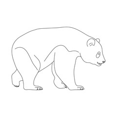 Sketch of Panda. Hand drawn vector illustration.