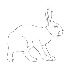 Fototapeta premium Rabbit in line art drawing style. Vector illustration.