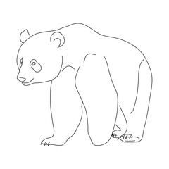 Panda in line art drawing style. Vector illustration.