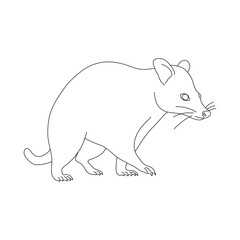 Sketch of Possum. Hand drawn vector illustration.