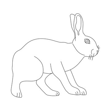 Rabbit in line art drawing style. Vector illustration.