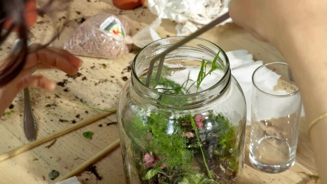 Person making terrarium. Group of people at outdoor florarium training and seminar. Self-sustaining micro garden ecosystem. People learning to create terrariums. Zen meditation hobby. Creative meetup.