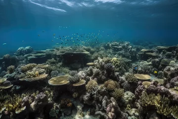 Foto op Aluminium coral reef, with schools of fish darting among the coral, created with generative ai © Alfazet Chronicles