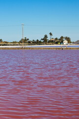 Nice landscape of stagnant lagoon for the production of salt in San Pedro del Pinatar, Murcia