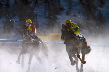 horse race on frozen lake in Engadine, Switzerland - 597219126
