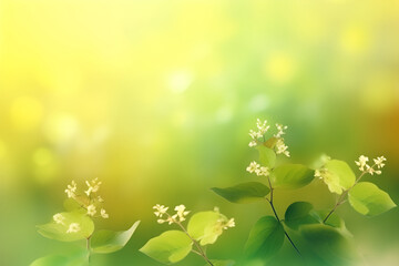 Fototapeta na wymiar Abstract spring fresh green-yellow bokeh background.