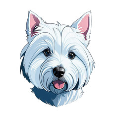 West Highland White Terrier portrait on transparent background
