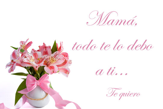 Mother's Day greeting card with a small white vase with lilies in different shades of pink and a big pink ribbon with a text in Spanish that says "Mom, I owe everything to you... I love you". 