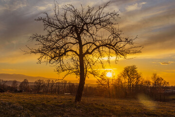 Naklejka na ściany i meble Sunset in the mountains - Karkonosze and Rudawy Janowickie in Poland