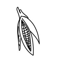 Organic Vegetable Doodle 