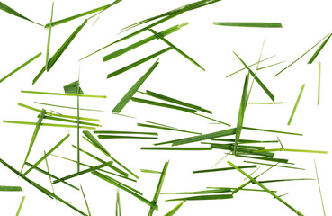 Green cut wild grass isolated on white background and texture, top view