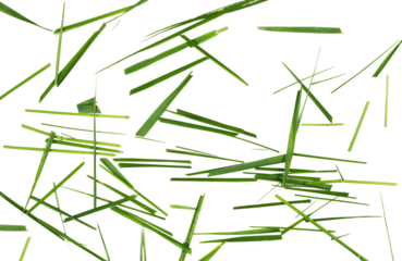 Green cut wild grass isolated on white background and texture, top view