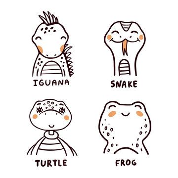 Iguana, snake, turtle and frog vector illustrations set