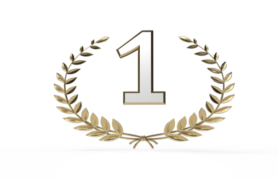 3d award first winner - one year  - PNG transparent