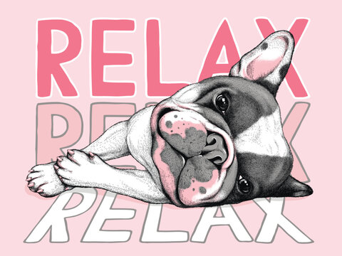 Cute lying french bulldog sketch. Vector illustration in hand-drawn style . Relax illustration. Image for printing on any surface