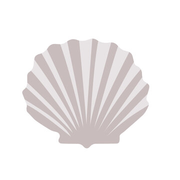 sea shell vector simple in gentle color