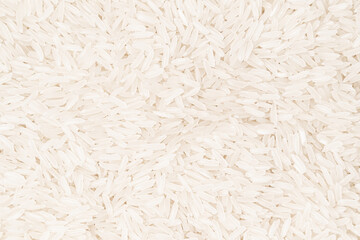 Rice grain: the foundation of countless dishes.