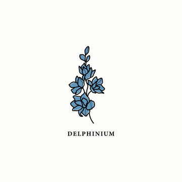Line art delphinium of larkspur flower drawing