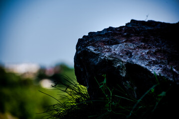 skała w Rezerwacie Kadzielnia w Kielcach