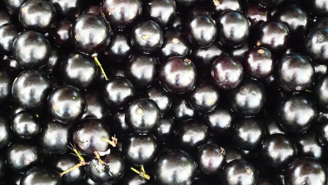 Jabuticaba in the market