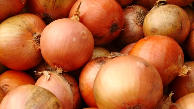 onion in the market
