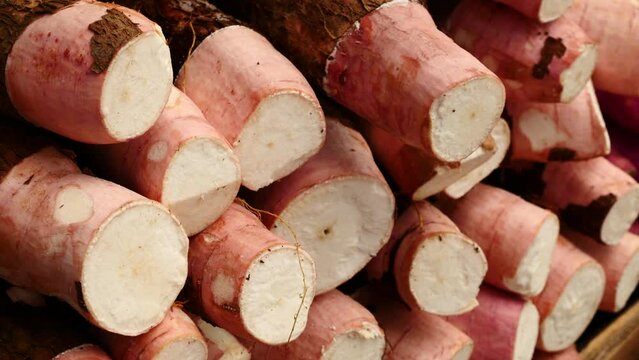 mandioca, cassava, aipim, at the street market