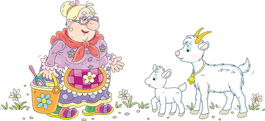 Obraz na płótnie Canvas Funny granny with a bucket of food going to feed her cute white goat and a merry goatling in a yard of a home farm, vector cartoon illustration isolated on a white background