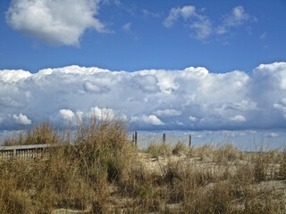 Bethany Beach, Delaware, USA: A long, low band of beautiful white clouds along the beach on the...