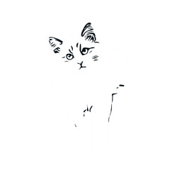 Obraz premium black and white sketch of a cat with a transparent background