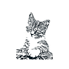 Obraz premium black and white sketch of a cat with a transparent background