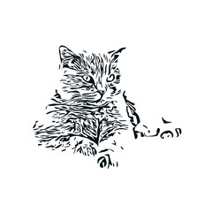 black and white sketch of a cat with a transparent background