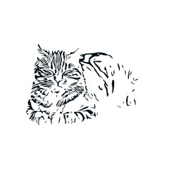 black and white sketch of a cat with a transparent background
