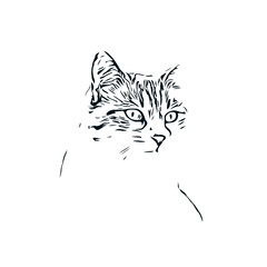 black and white sketch of a cat with a transparent background