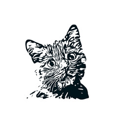 black and white sketch of a cat with a transparent background