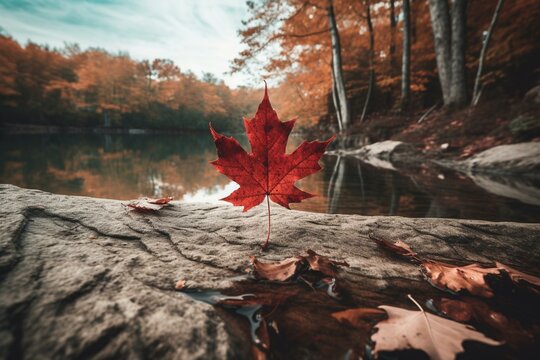 Canada's South Frontenac in Ontario province captured ahead of a picture containing the iconic Canadian maple leaf. Generative AI