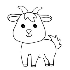 Obraz na płótnie Canvas Line sketch, coloring of a little goat. Vector graphics.