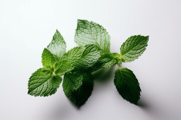Isolated mint leaves in green with white background. Generative AI