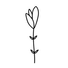 Hand drawn abstract flower and branches doodle. Vector illustration