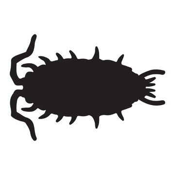 Woodlouse silhouettes and icons. Black flat color simple elegant Woodlouse animal vector and illustration.